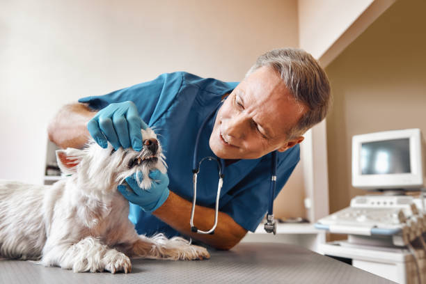 Best Weekend Emergency Dentist in Glouster, OH
